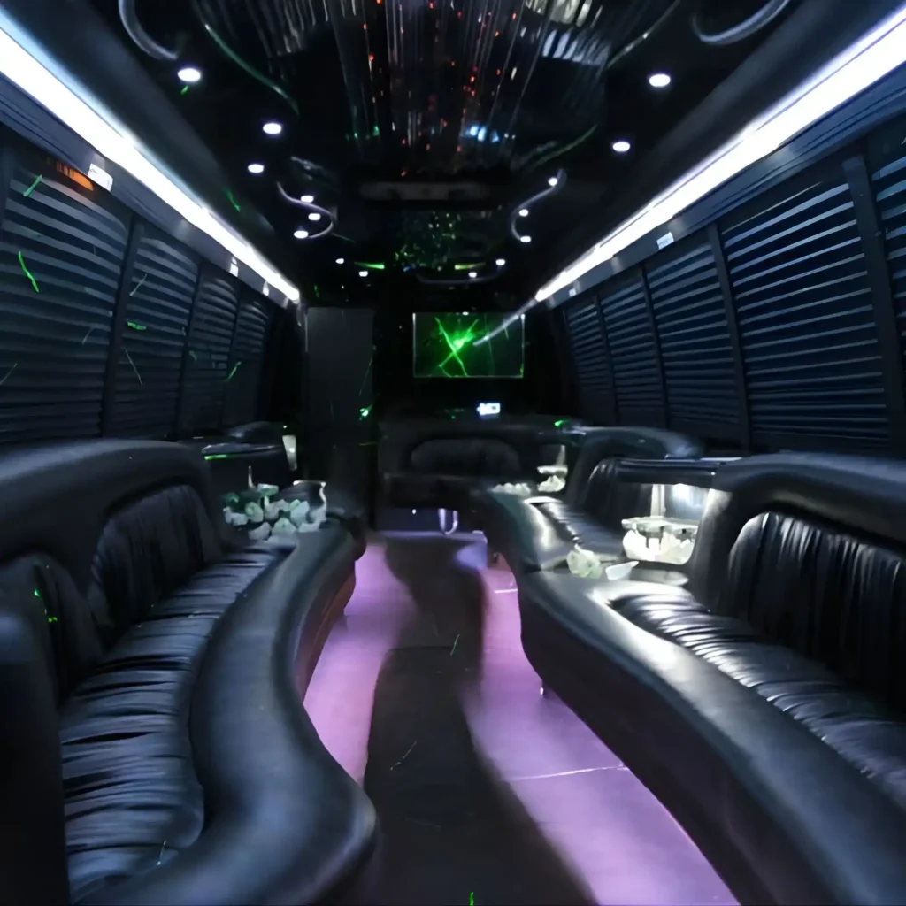 Luxury party bus rental service